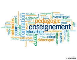 Cours de Français et langues étrangères par webcam. — photo 2