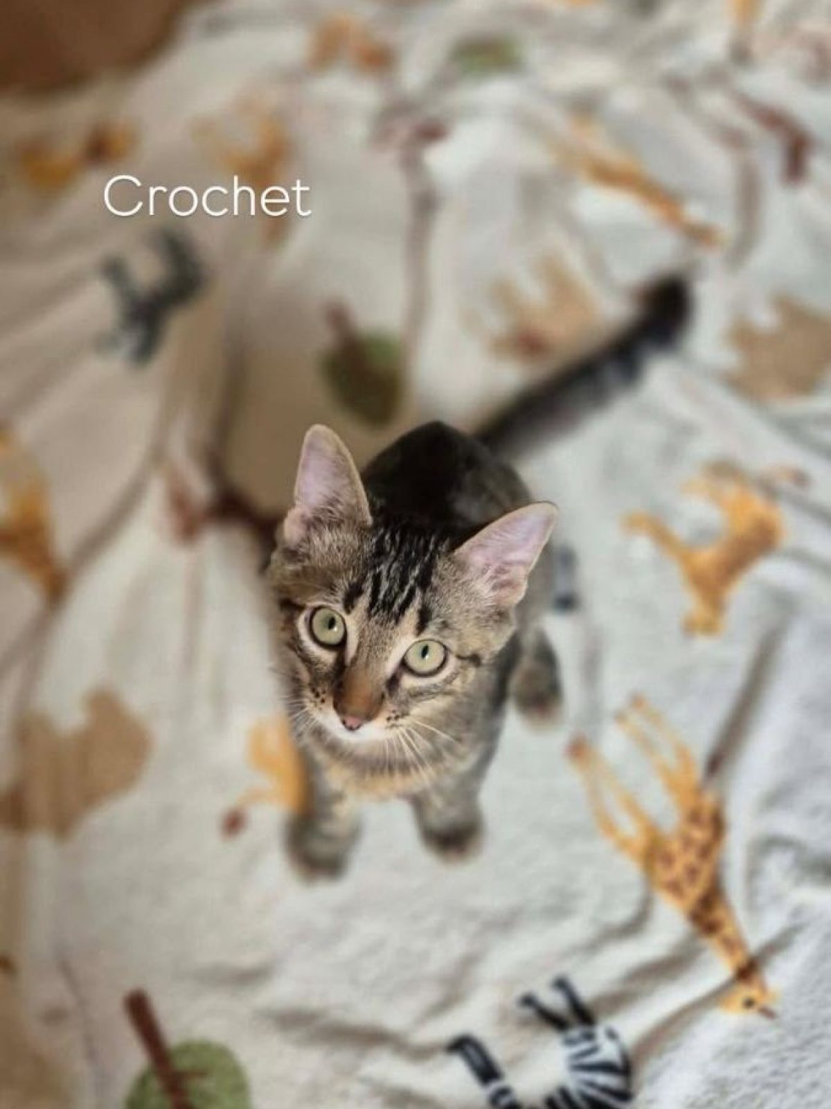 Crochet