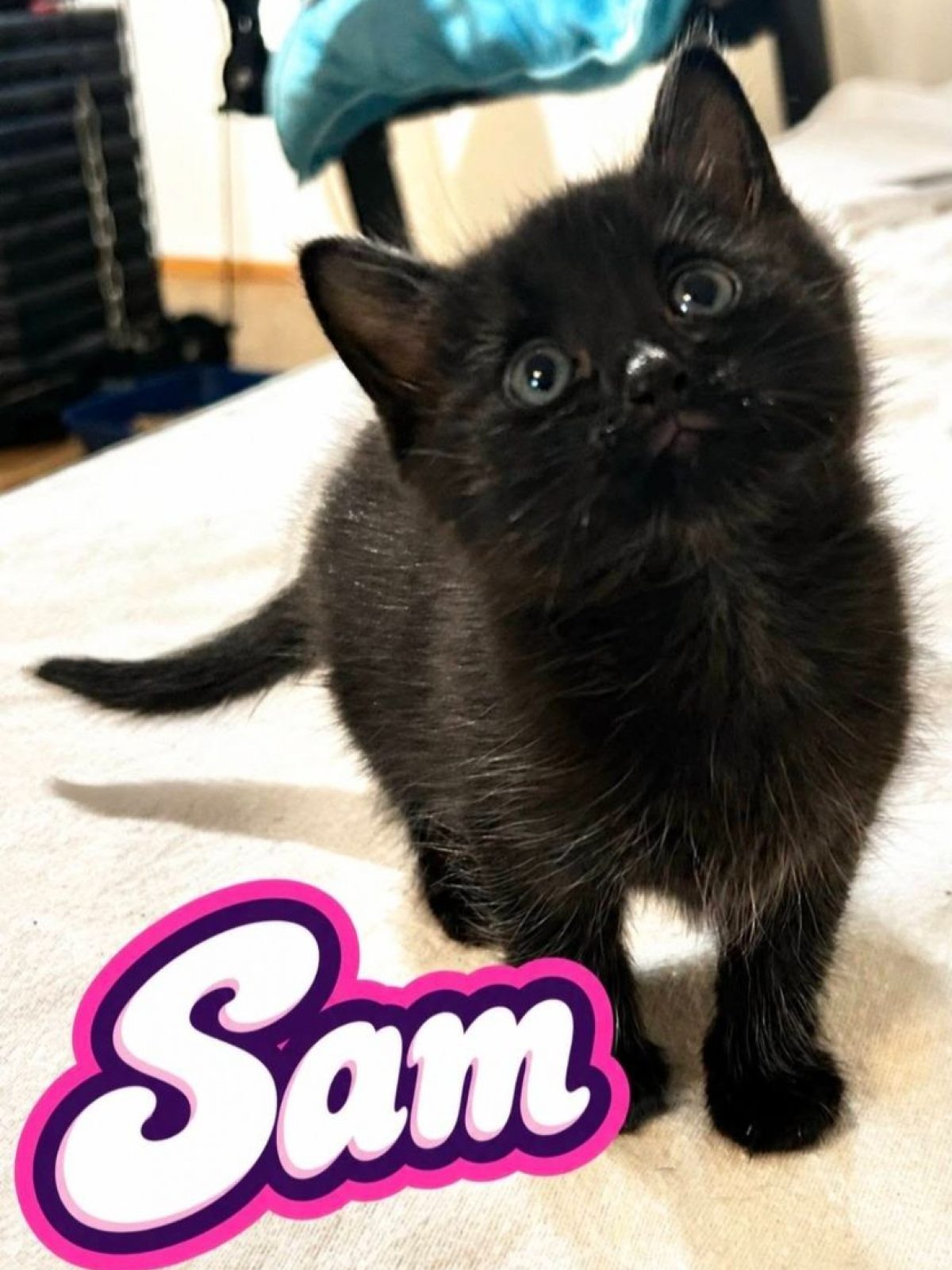 Sam