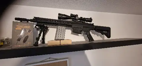 SR-25 VFC Full mod + 3 chargeurs