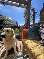 Vends Fender Custom Shop Tomatillo Journeyman 2019 Lake Plac