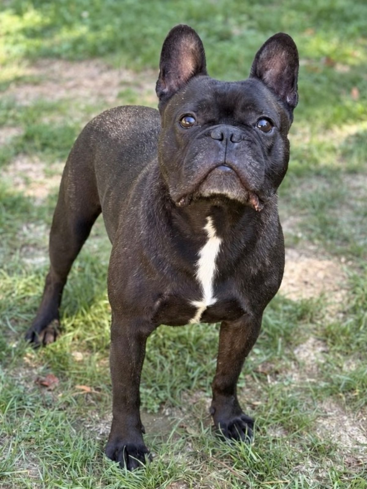 Jack