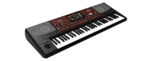 Vente Korg Pa700 - 990 €