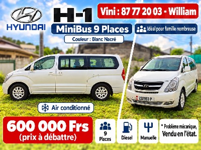 ? HYUNDAI H-1 MINIBUS 9 PLACES A VENDRE A PUNAAUIA