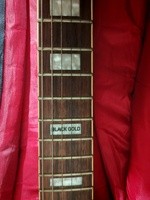 Vends dean black gold V - 450 €