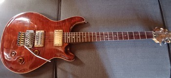 Vends guitare électrique type PRS « YC The wisdom » - 550 €