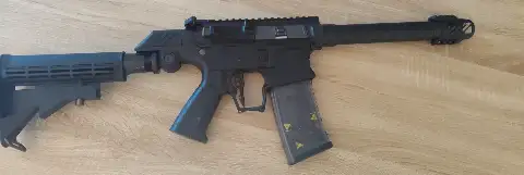 Ssg1