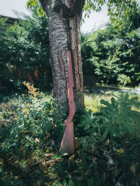 Fusil M14 - AEG