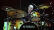 Batteur professionnel , recherche groupe avec des dates de concerts ,ou des séan
