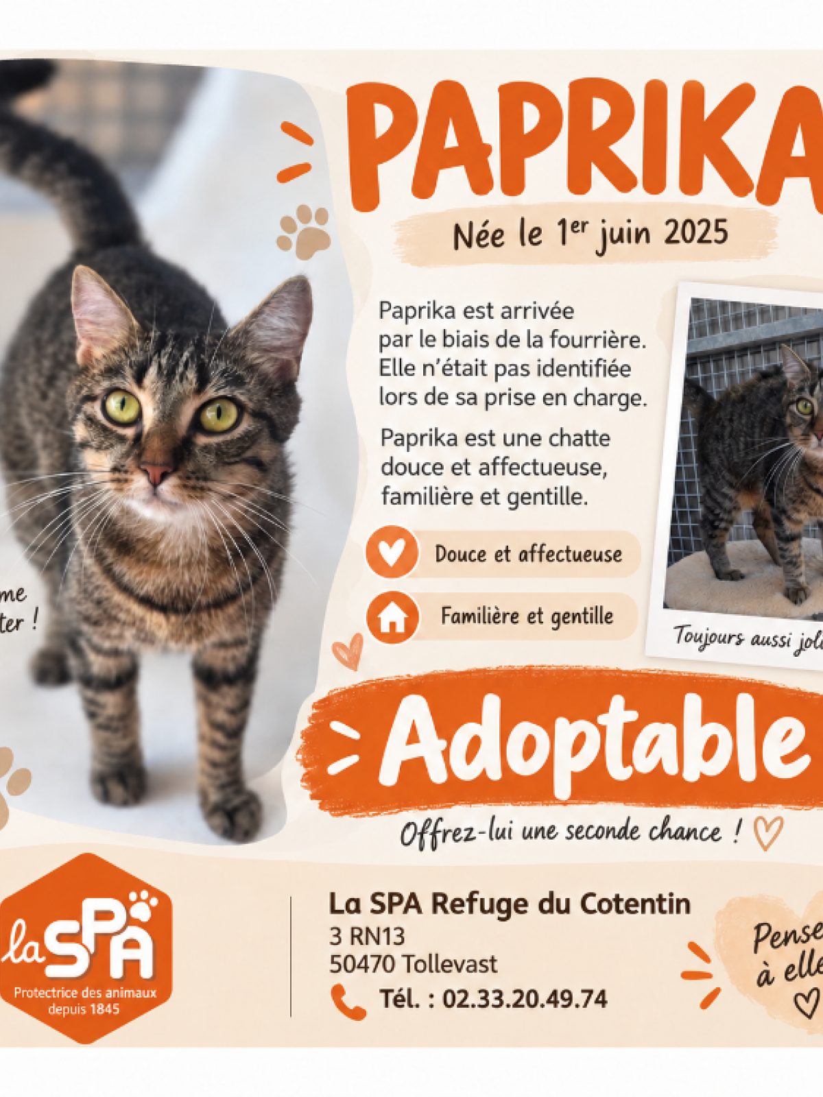 Paprika