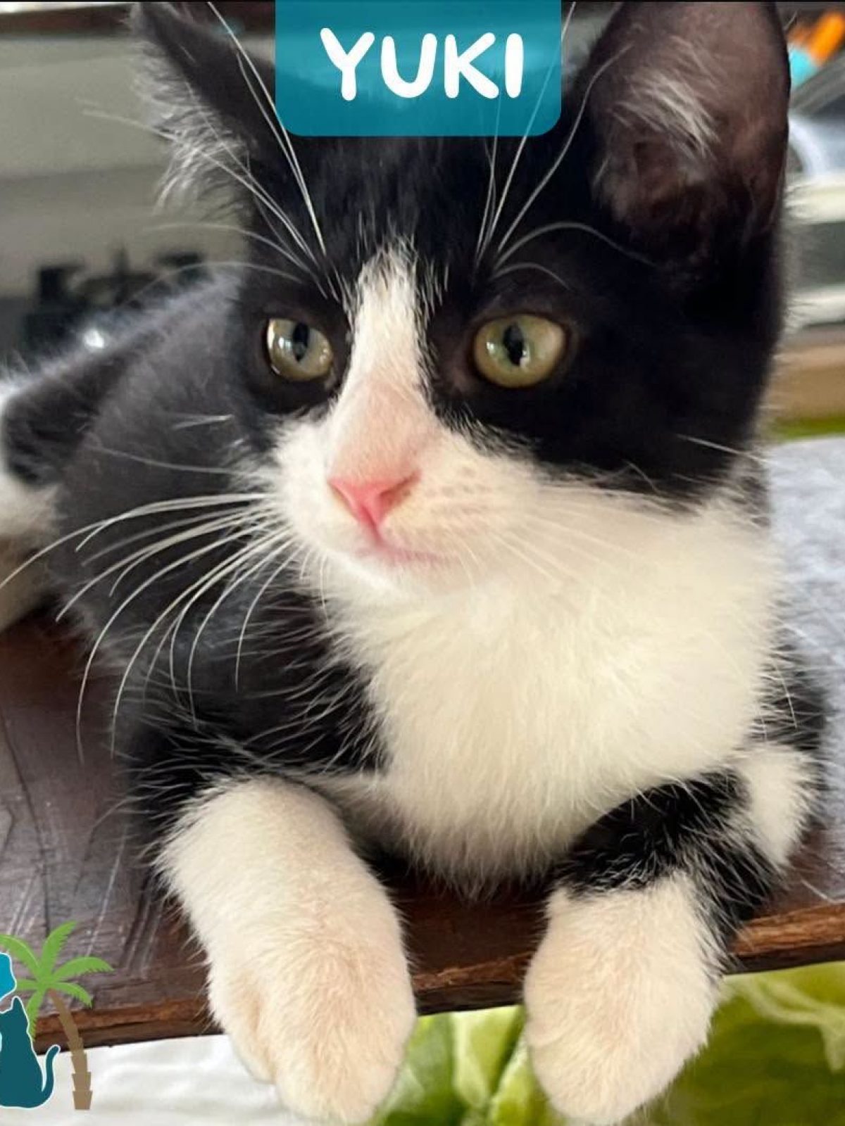 YUKI