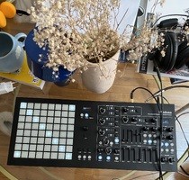 Polyend Medusa - 450 €