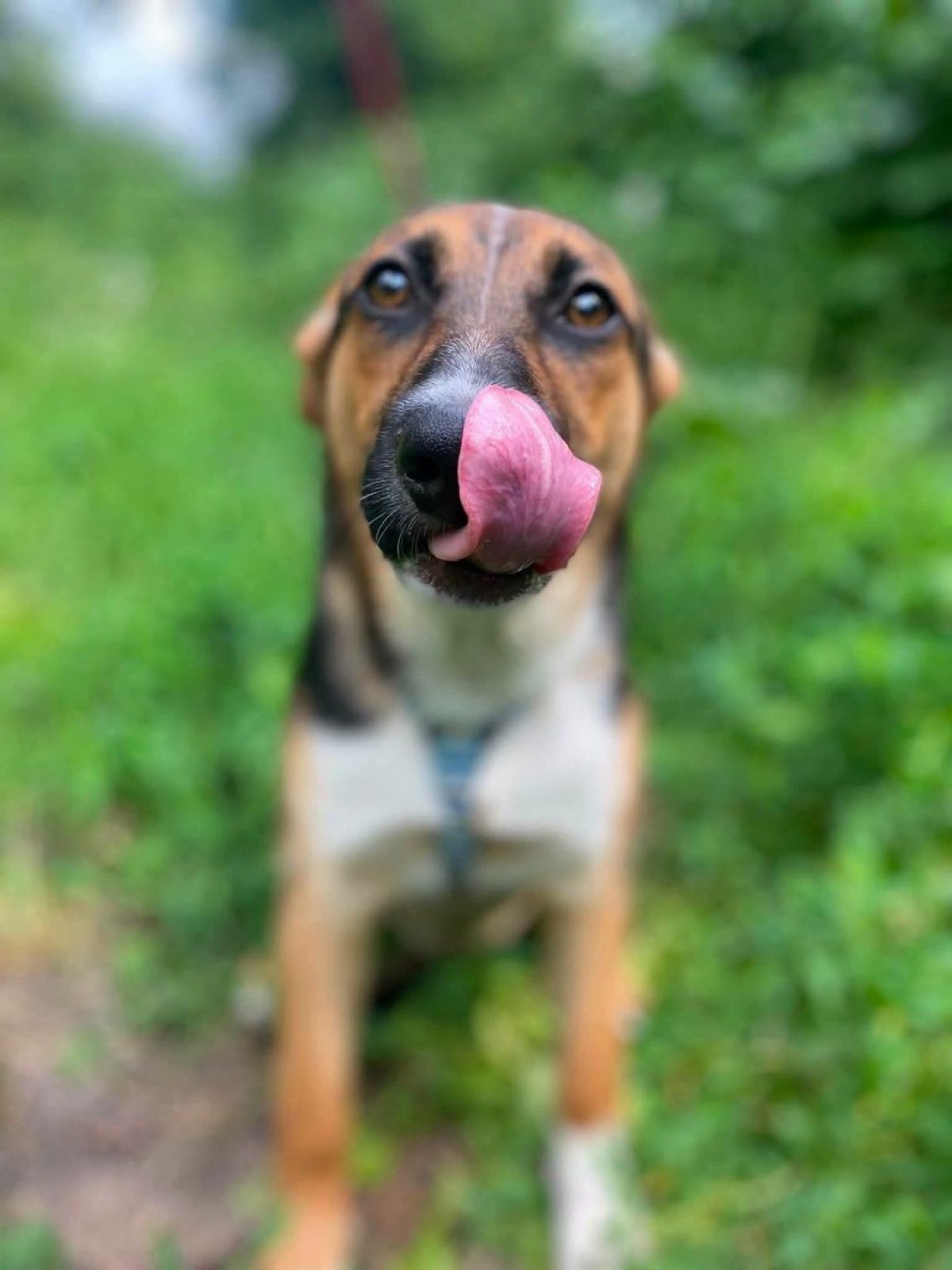 TUZIK