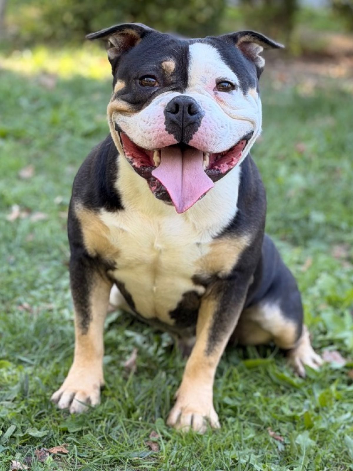 Buster