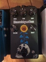 Vends Disambiguation V2 - 110 €