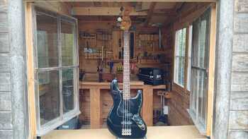 Fender Jazz Bass Standard Signature Reggie Hamilton - 700 €
