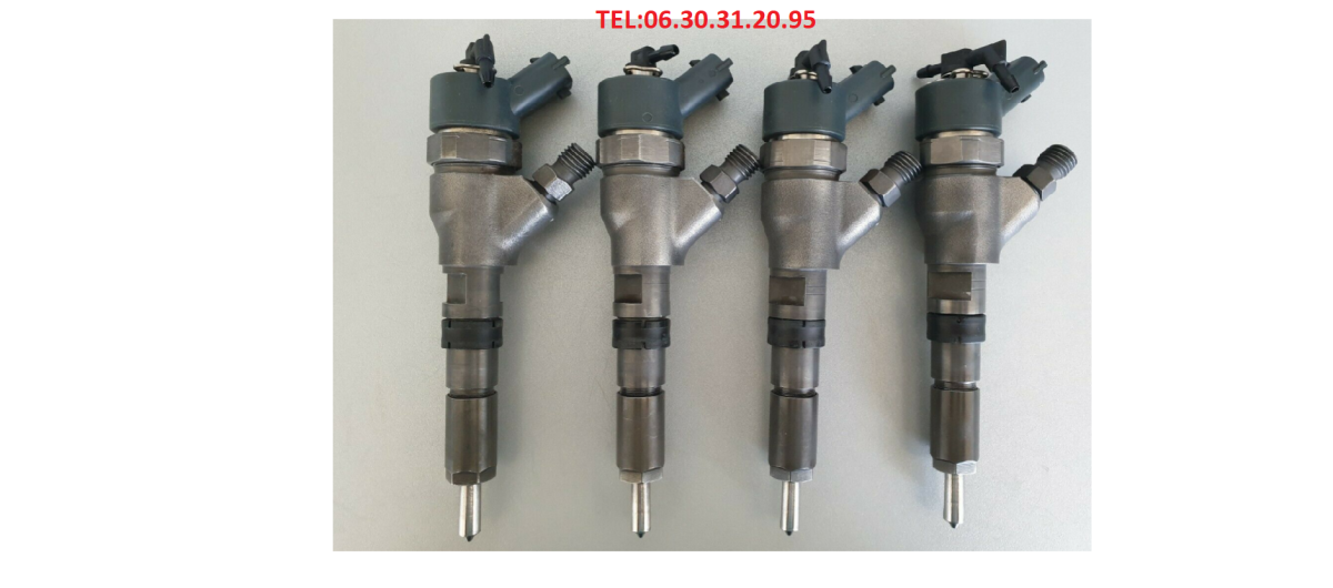 Injecteur Tout Type Bosch , Delphi , Siemens , Desnos  en Occasion ou Reconditionnées