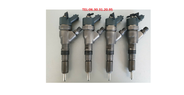 Injecteur Tout Type Bosch , Delphi , Siemens , Desnos  en Occasion ou Reconditionnées